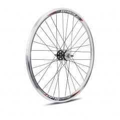 Polished fixed pinion rear wheel  dp-18