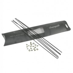 Mini kit of spare spokes  Campagnoloneutron