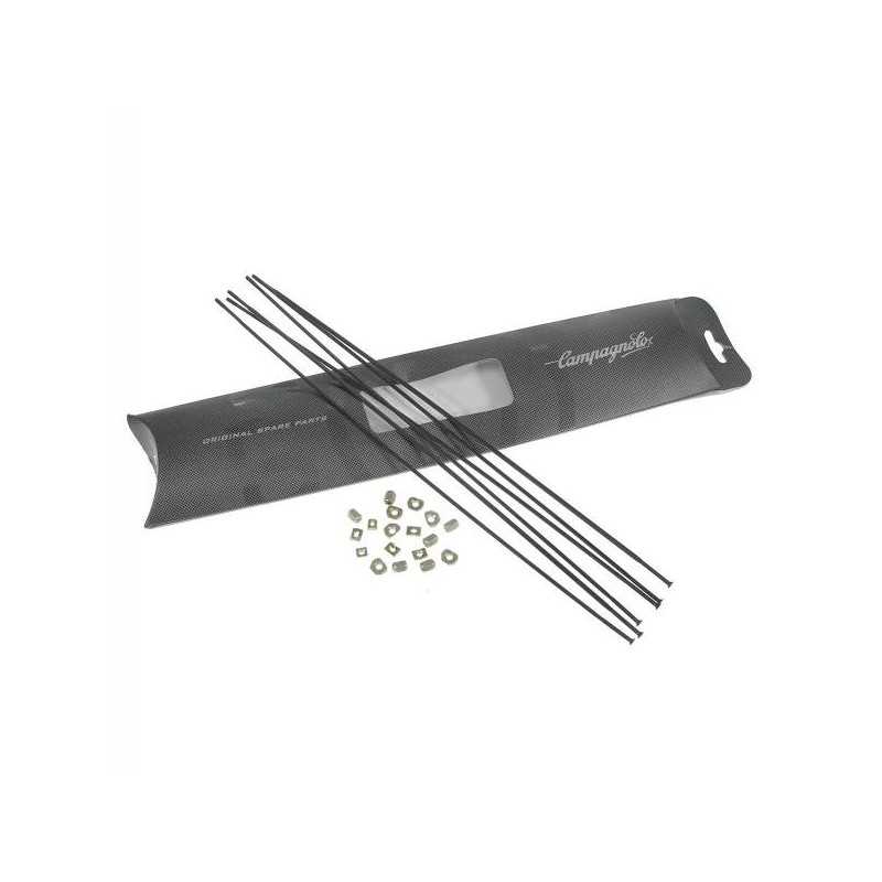 Mini kit of spare spokes  Campagnoloneutron