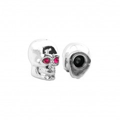 Plug, schrader valve skull bicycle