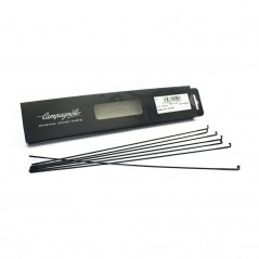 CAMPAGNOLO Mini kit radios recambio vento reaction 64181