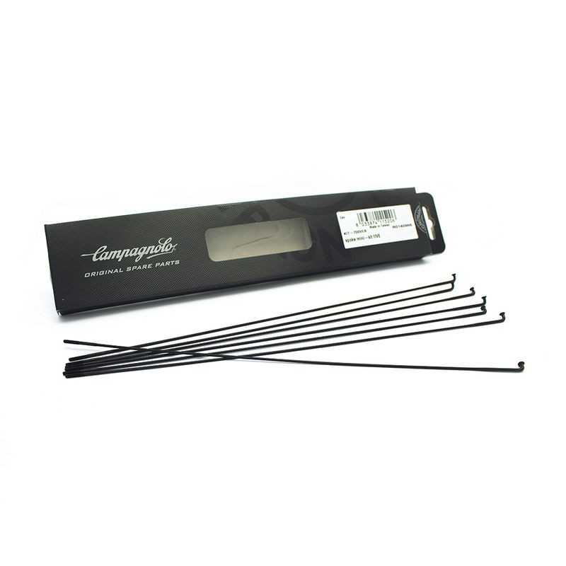 CAMPAGNOLO Mini kit radios recambio vento reaction 64181