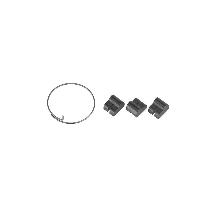 FULCRUM Trinquetes de nucleo rueda + muelle ACERO R0-022X 49612