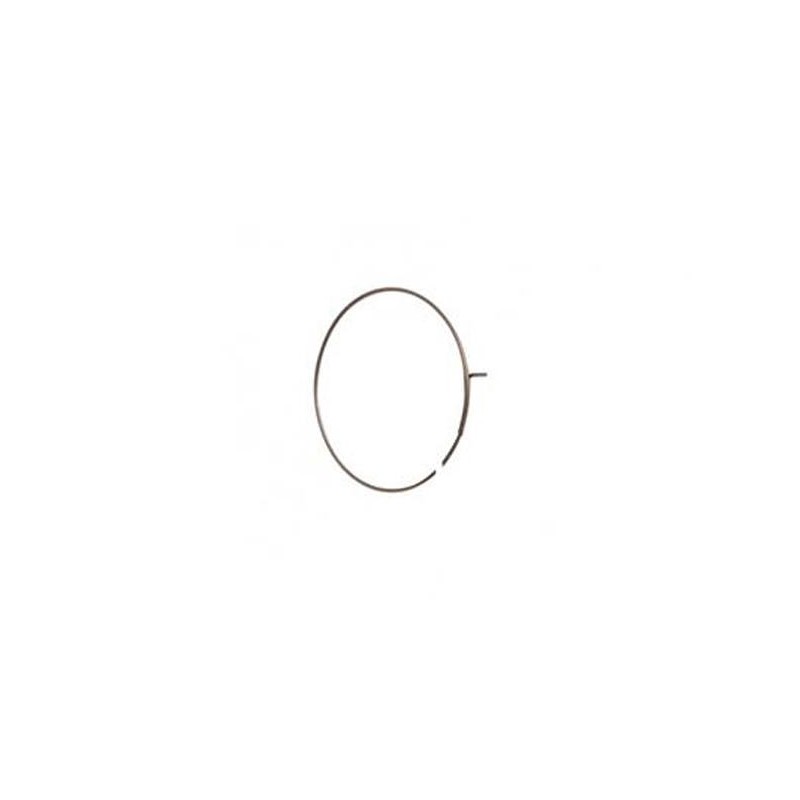 Ratchet spring for core