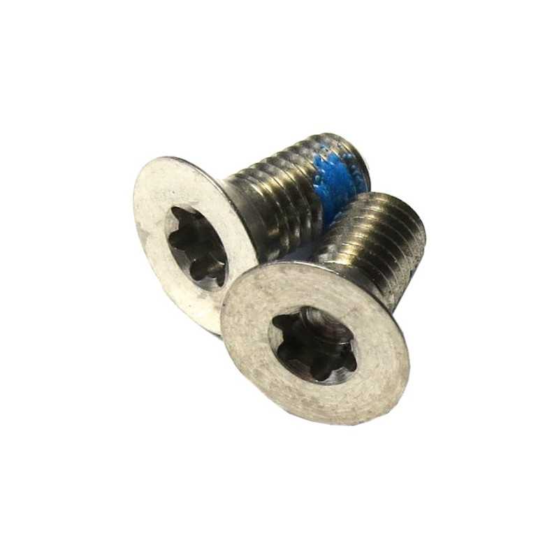 Steel bolts  T25 VIELZAHN 5MM FLAT MOUNT CALIPER (2U)