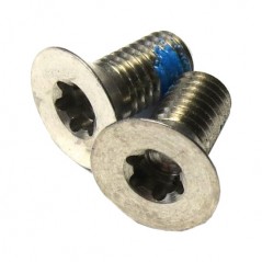 Titanium screws  T25 5MM FLAT MOUNT CALIPER (2U)