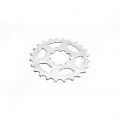Polyvalent cog  11v Campagnolo