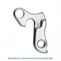 Derailleur hanger 