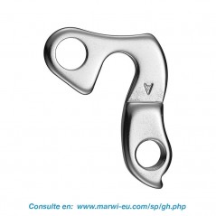 Derailleur hanger 