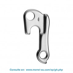 Derailleur hanger 