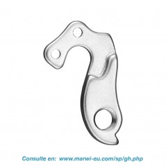 Derailleur hanger 