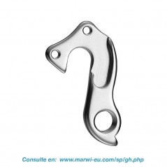 Derailleur hanger 
