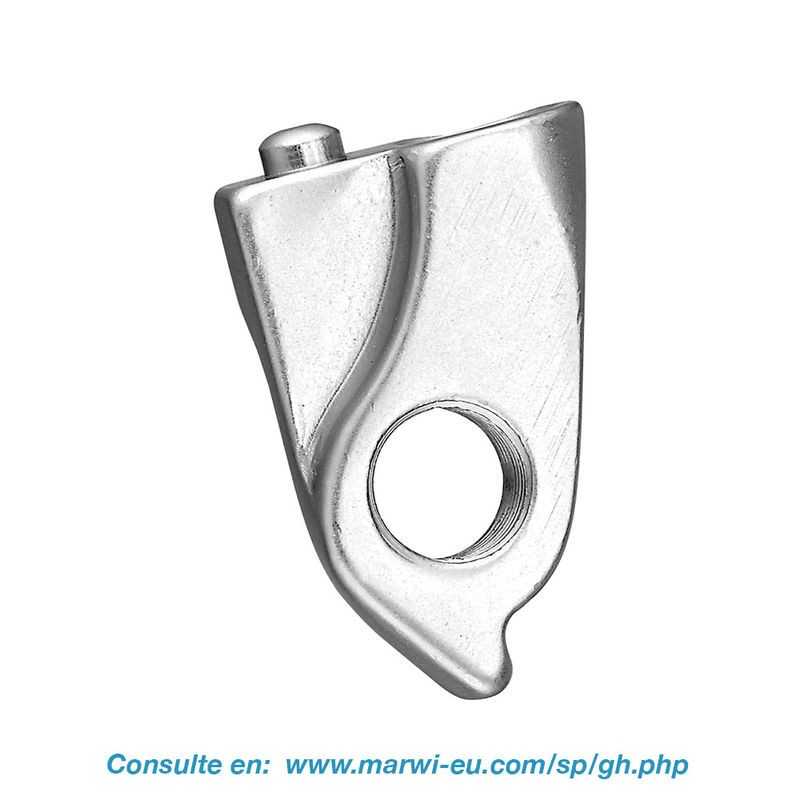 Derailleur hanger 