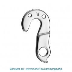 Derailleur hanger 