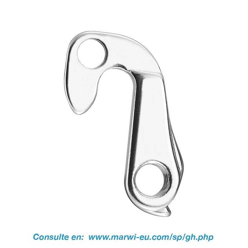 Derailleur hanger 