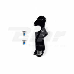 Derailleur hanger 