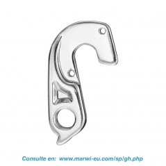 Derailleur hanger 