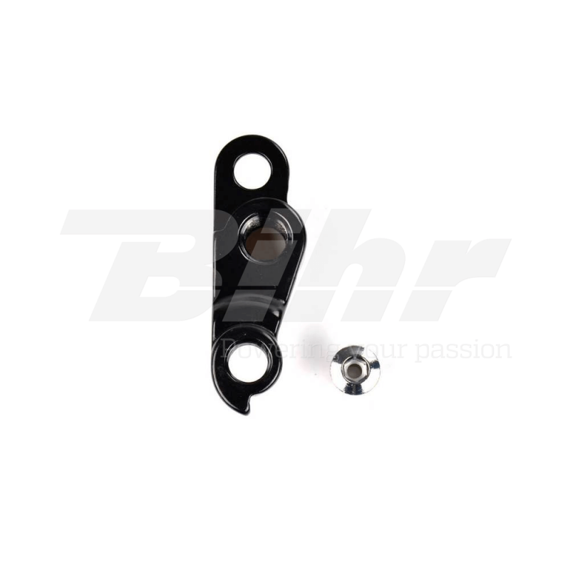 Derailleur hanger 