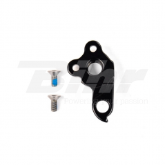 Derailleur hanger 