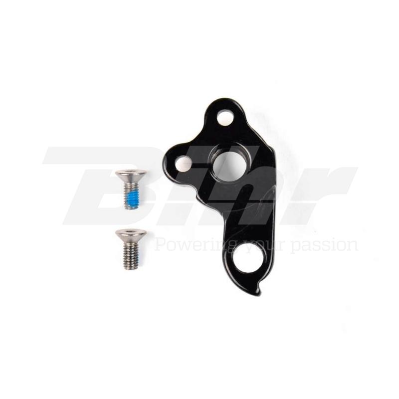 Derailleur hanger 