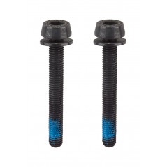 CAMPAGNOLO Tornillo pinza de freno carretera 34MM 53235