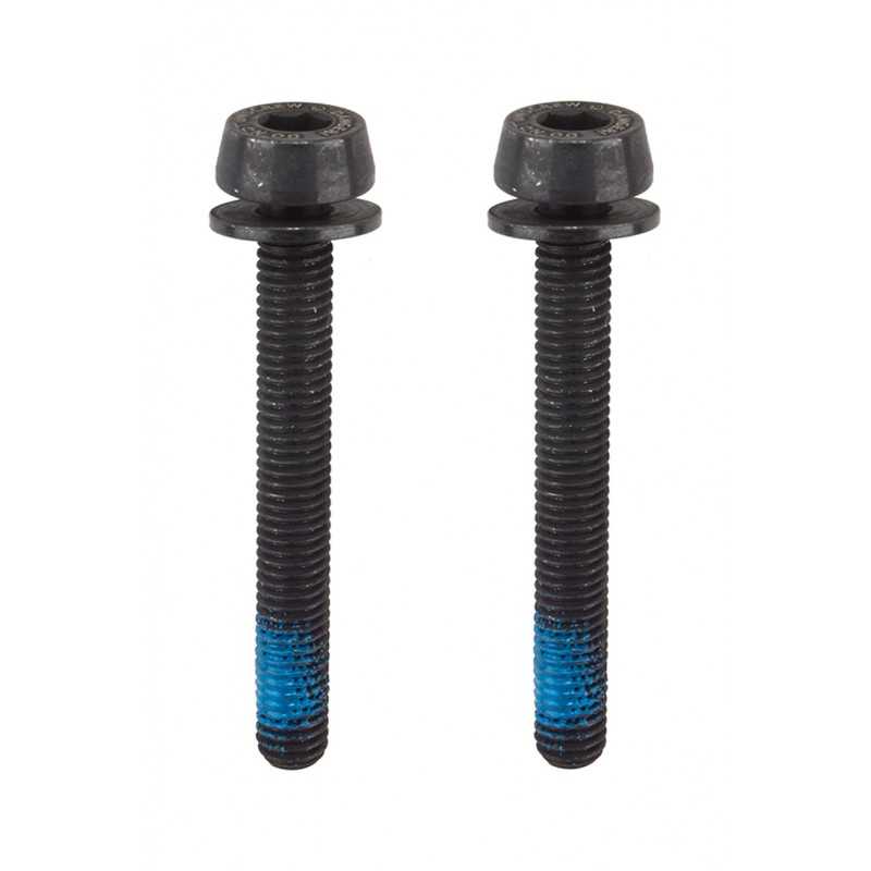 CAMPAGNOLO Tornillo pinza de freno carretera 34MM 53235