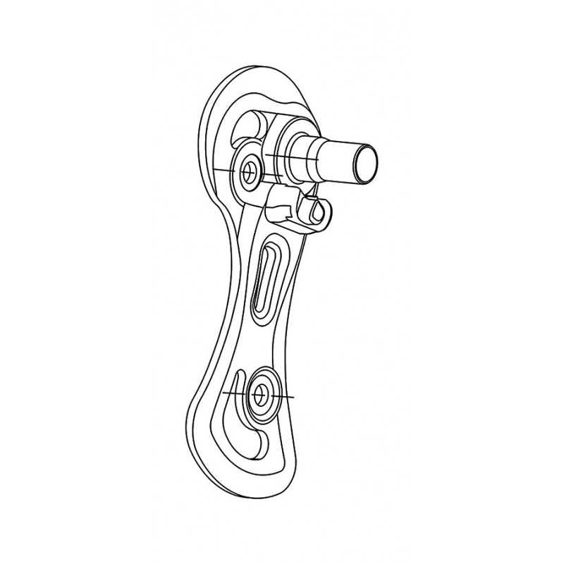 CAMPAGNOLO Jaula cambio trasero caja media CHORUS/RECORD 709222