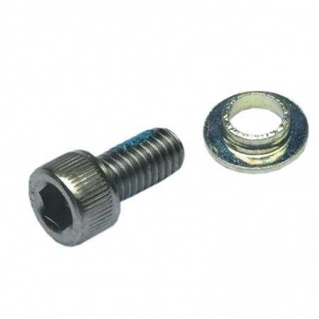 Lower fork tube bolt and washer