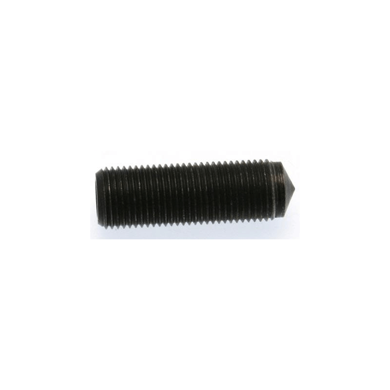 BUZZETTI Tornillo para pin perforado 8944988 891178