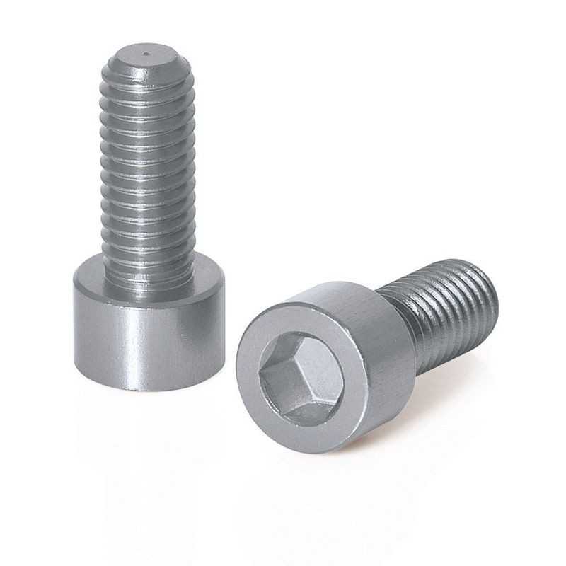 XLC Tornillo de aluminio cabeza hexagonal portabidon 2U BC-X02 M5X17 MM 25032150VAR