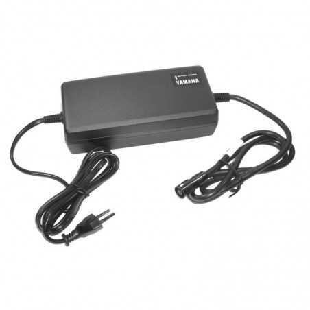 Bike battery charger  36 2015