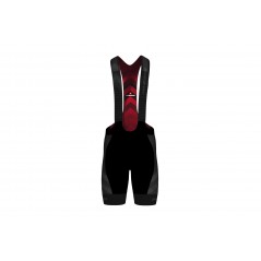 PRO TEAM bib shorts