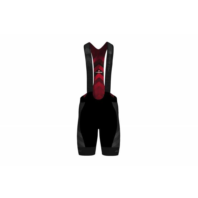 PRO TEAM bib shorts
