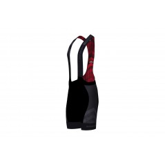 PRO TEAM bib shorts