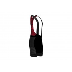 PRO TEAM bib shorts