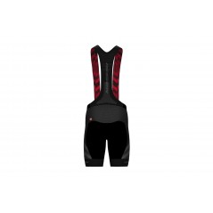 PRO TEAM bib shorts