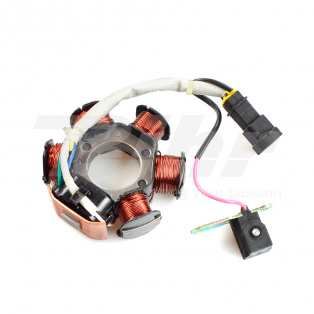 stator bobina alternador