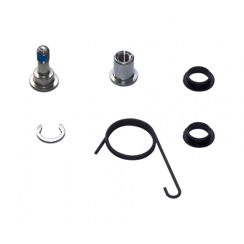 Brake lever internal parts kit  TT TT500 TT900