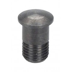 CAMPAGNOLO Inserción de cabecilla magnética para ruedas EURUS 2006 709223