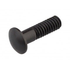 CAMPAGNOLO Magnetic nipple insert for wheels BULLET/BULLET ULTRA/BORA ONE/BORA ULTRA 709224