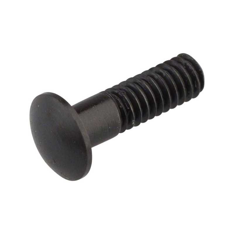 CAMPAGNOLO Magnetic nipple insert for wheels BULLET/BULLET ULTRA/BORA ONE/BORA ULTRA 709224
