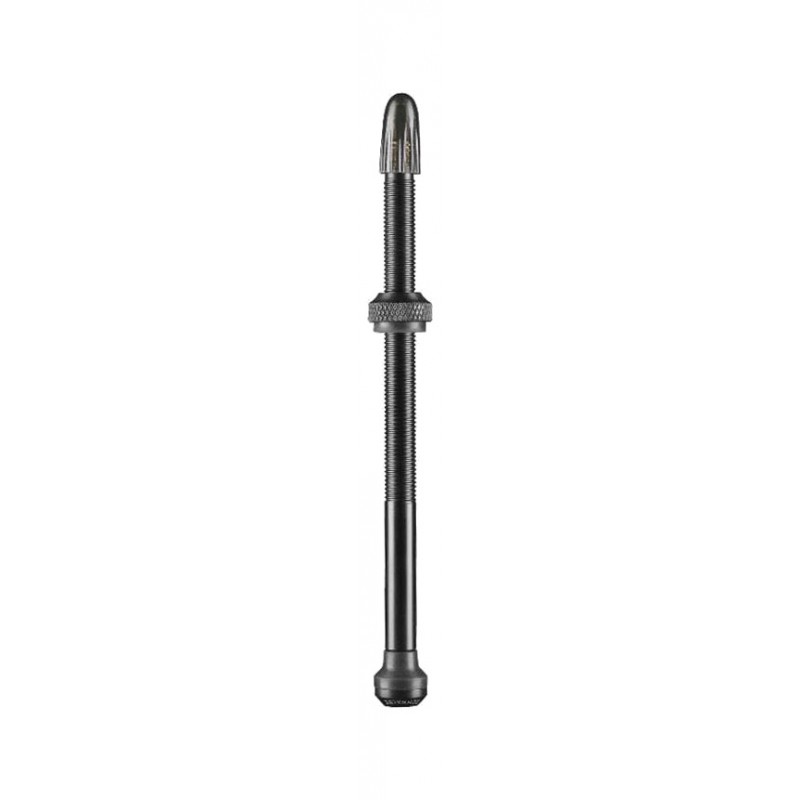SCHWALBE Aluminum valve set for tubeless tire 100 MM (2U) 709792
