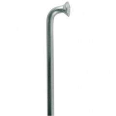 DT SWISS Radios acodados de acero inoxidable sin cabecillas CHAMPION M 2 MM (100U) 716636VAR-2