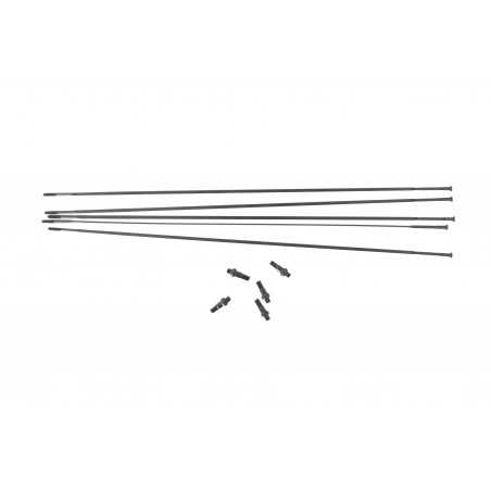 MASSI Pack 5 radio + tuerca X-PRO3EVO RB 256MM 58470