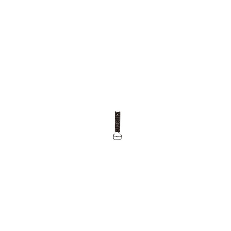 DEDA Tornillo tija de sillin acero RS01/RS02 M6X25 MM 713517