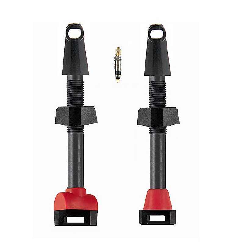 BARBIERI Set of valves PRESTA CARBONARIA 55 MM TUBELESS 713191