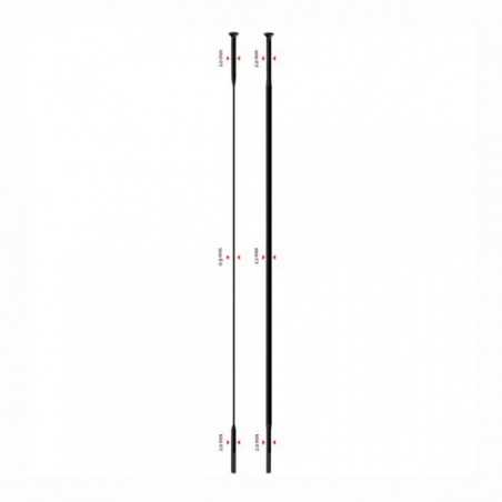 SAPIM Radio para rueda de bicicleta sin cabecilla CX-RAY STRAIGHT PULL RASACXST