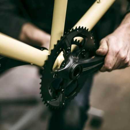 PRAXIS bicycle chainrings ROAD 50/34 110 BCD BLK2TONE BUZZ 850009369864