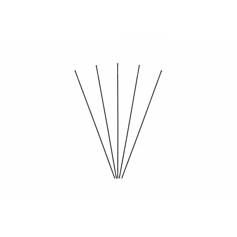 MASSI Pack of 5 spokes for rear rim PROTOUR 292 MM 58484