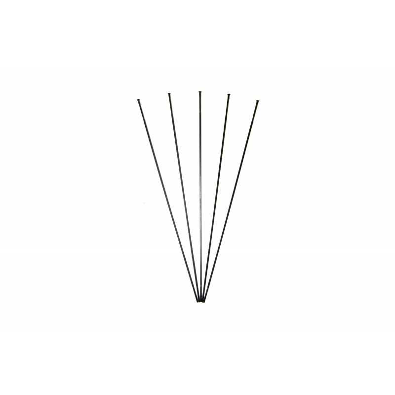 MASSI Pack 5 radios recto/plano DIREWOLF 286 MM 58485